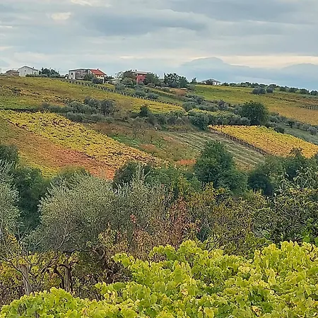 Marusia Penzion Tollo