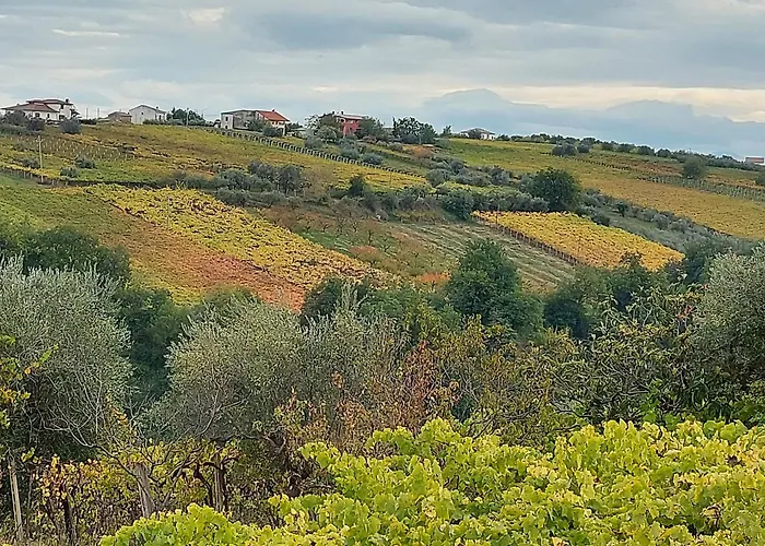 Marusia Casa de hóspedes Tollo