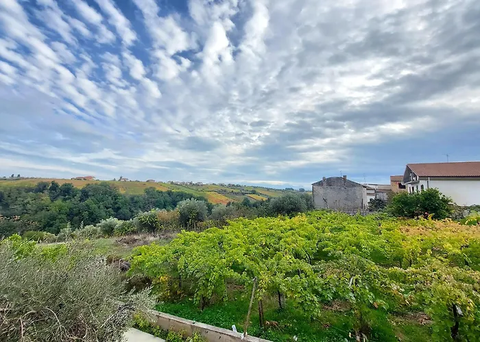 ゲストハウス Marusia Tollo